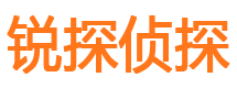 金湾市调查公司